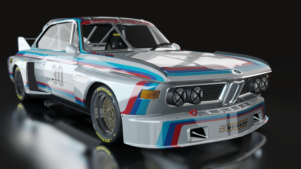 ACL GTR BMW CSL 3.0, skin bmw30