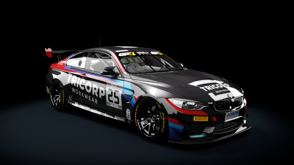 BMW M4 GT4, skin 2019_EuroGT4_25_MDM_Motorsport