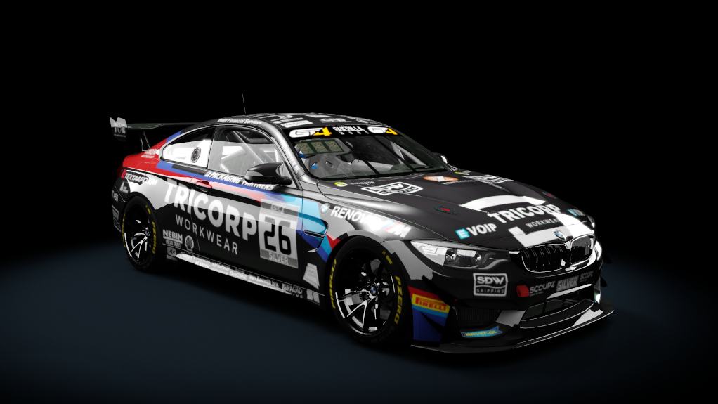 BMW M4 GT4, skin 2019_EuroGT4_26_MDM_Motorsport