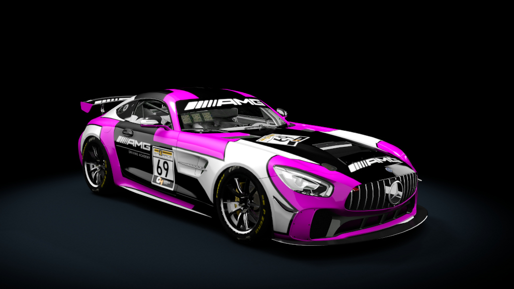 Mercedes AMG GT4, skin 69_schleifer