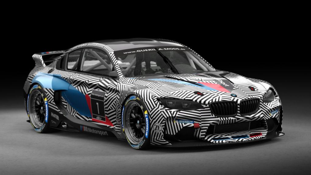 BMW M2 GT2, skin erlkönig