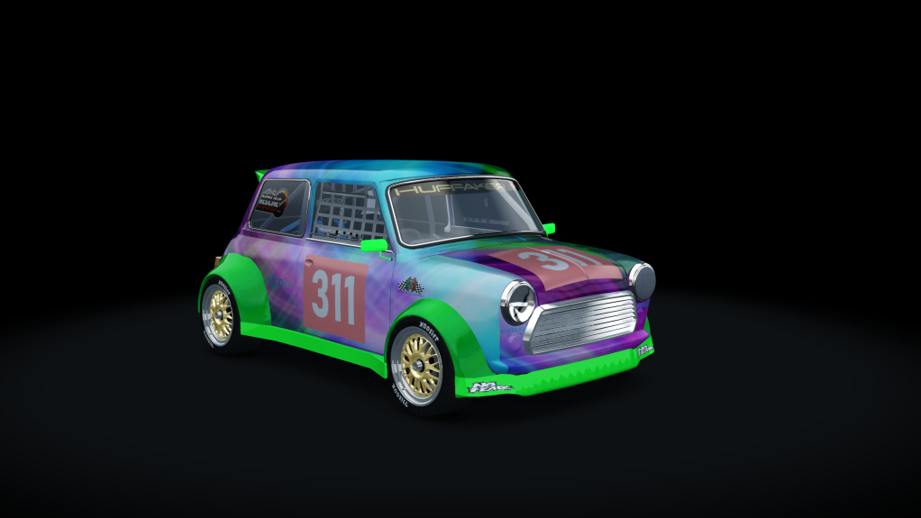 Mini Can Am, skin 311