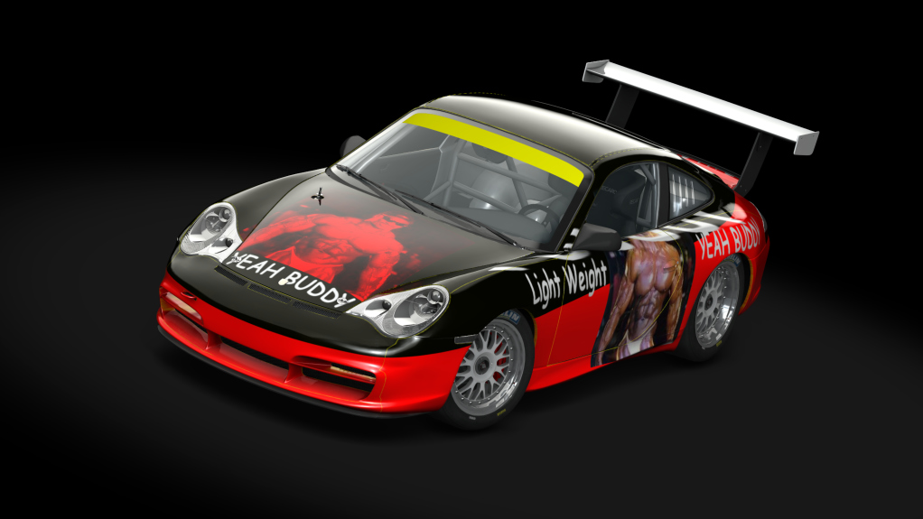 Porsche 911 GT3 Cup 2004, skin Mitchell